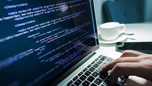 就業(yè)率最高的十大專業(yè) 軟件工程居首，信息技術(shù)咨詢前景廣闊